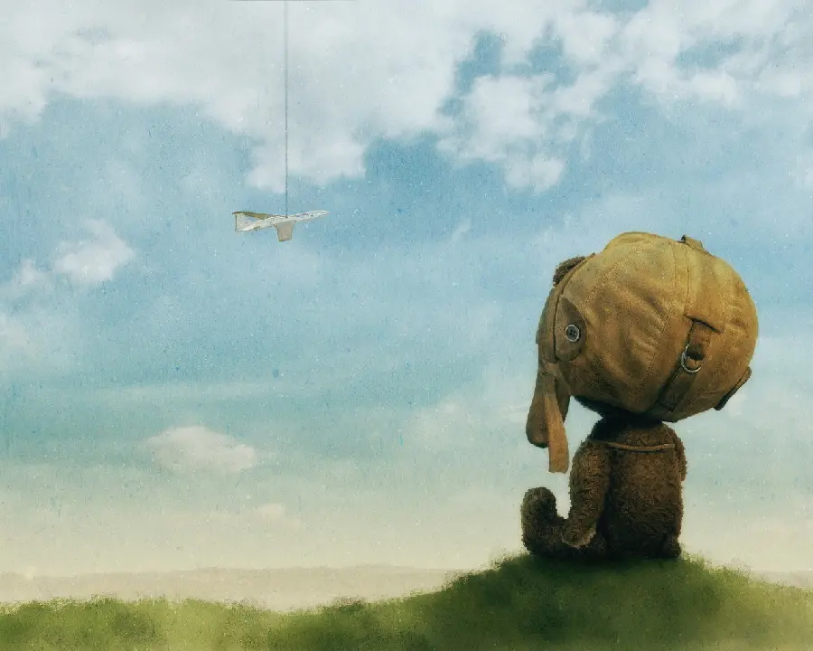 Emotional Profile Picture of a Boy Watching a Plane in the Sky