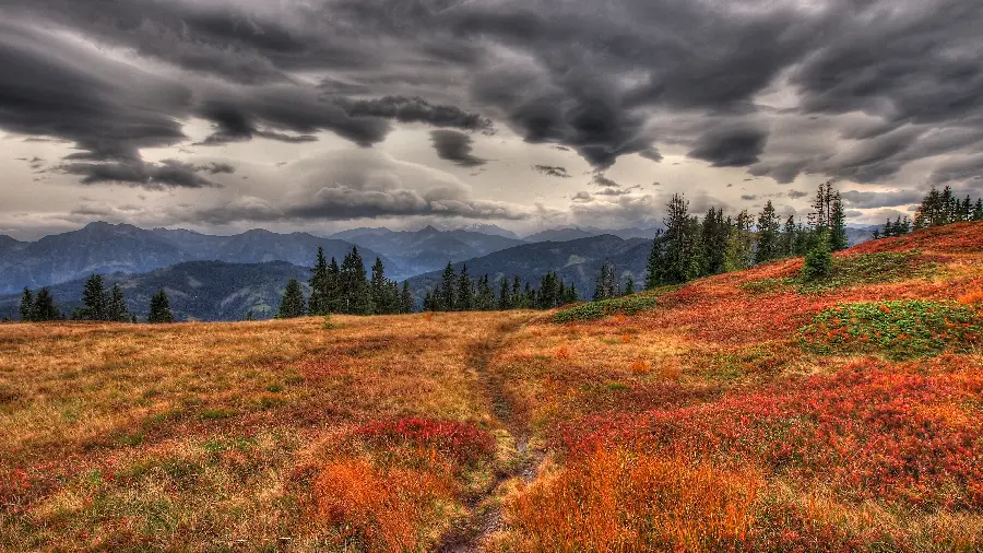 Landscape of yellow and dry autumn meadows for painting printing