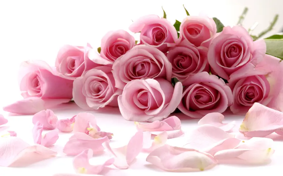 Download a romantic and beautiful pink rose bouquet photo for your profile