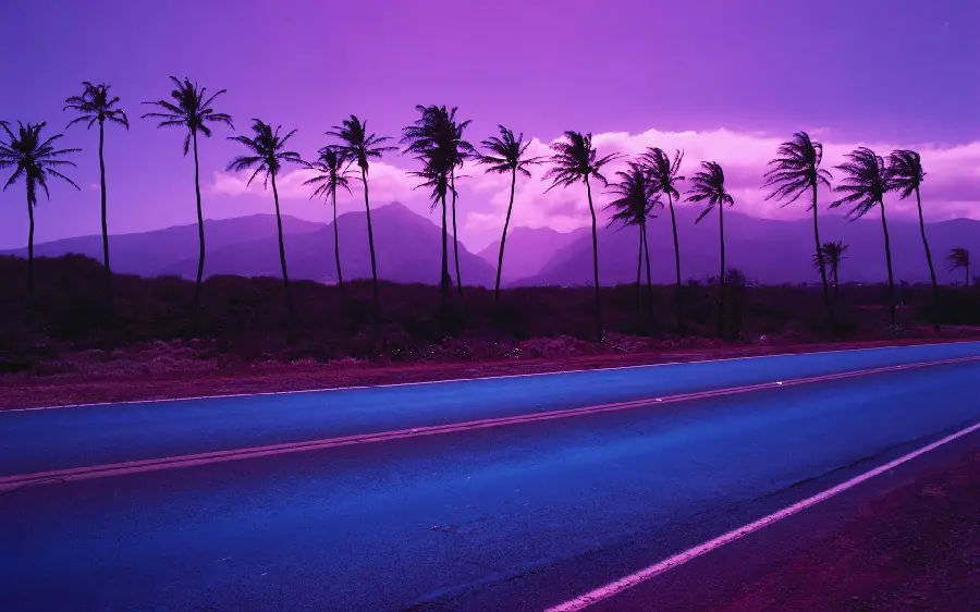 Nature wallpaper of the road and sunset in the palm grove