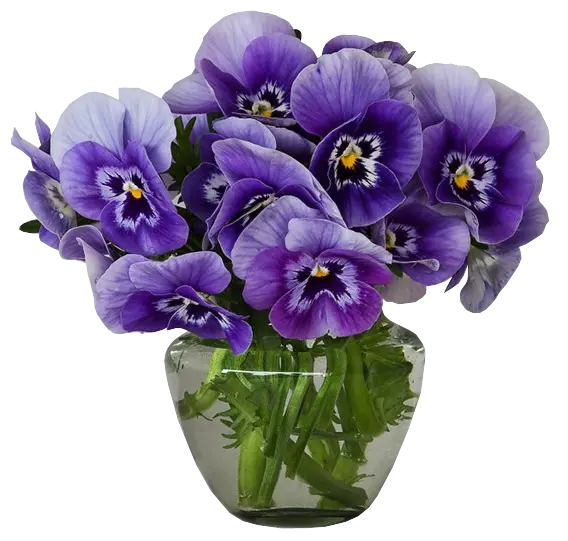 Photo of a glass vase with natural purple flowers in png format