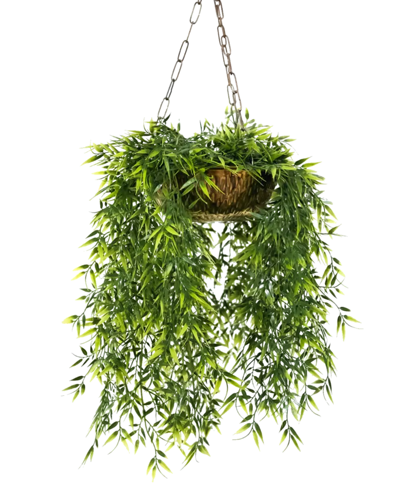 High Quality Hanging Pot Photos Without Background
