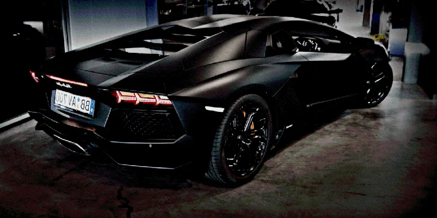 Black Lamborghini immortalized photo