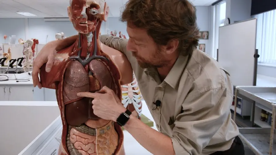 Human Lung Dissection Photo by Specialist Doctor