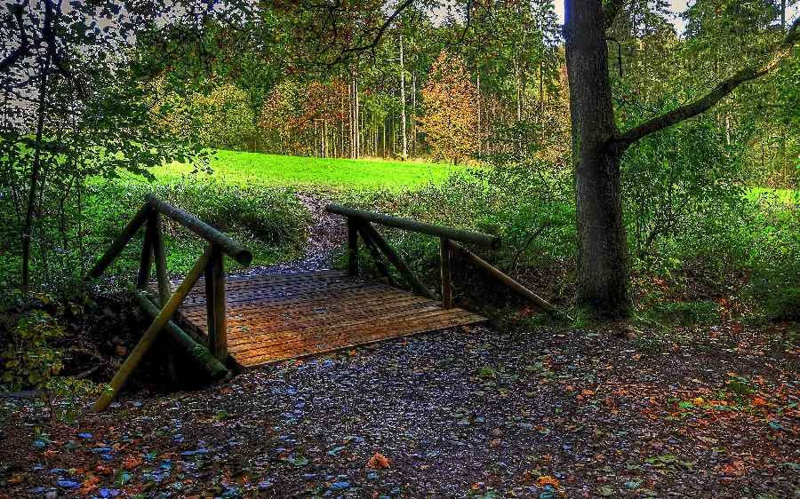 Beautiful profile of a small wooden bridge in nature with spectacular quality 8k