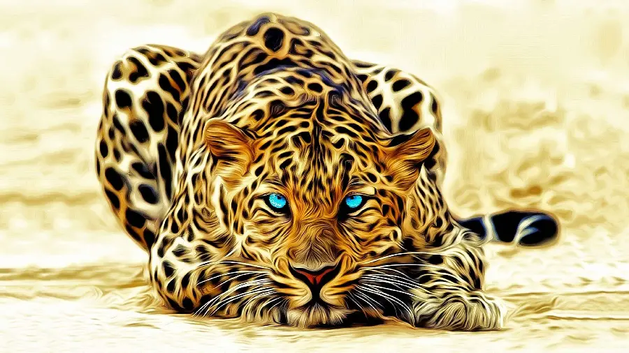 Awesome Tiger Eyes Photo