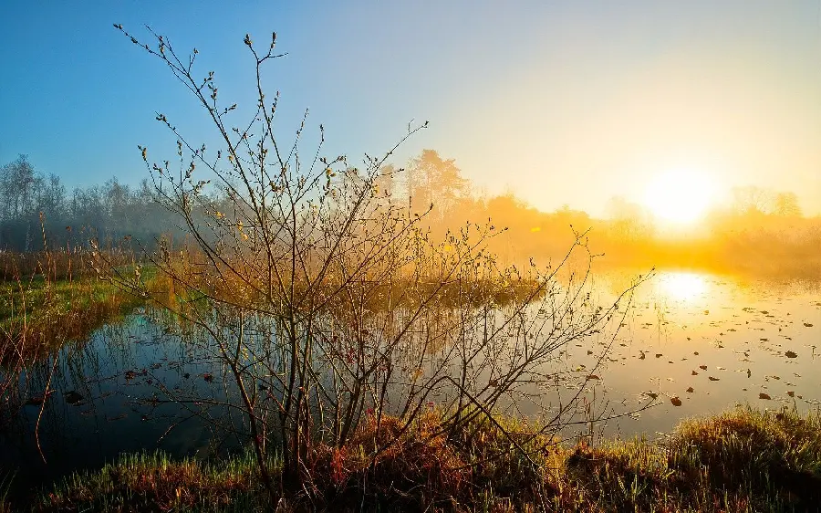 A picture of the splendor and beauty of nature in Spring season with the best quality