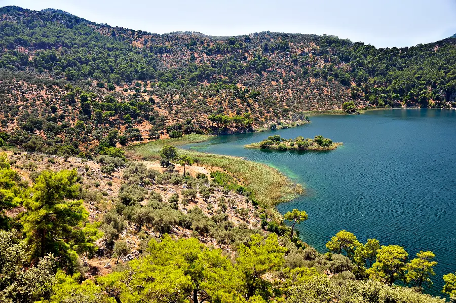 Beautiful nature photo for a scenic lakeside background