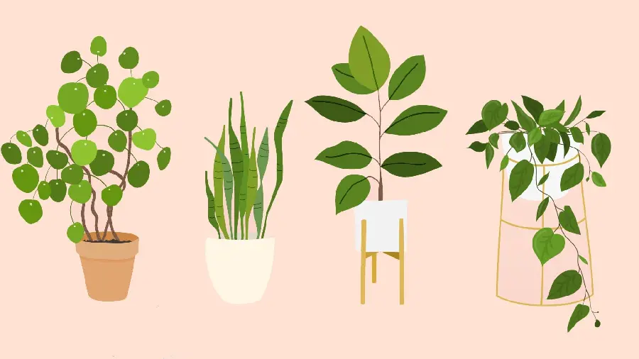Painting of houseplants