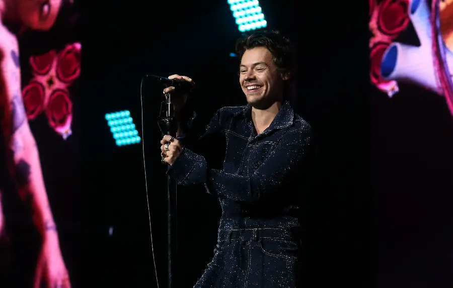 The most beautiful background of Harry Styles' smile in concert