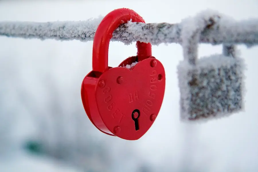 Winter profile photo, red lock