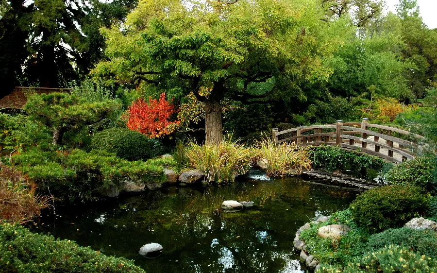 A picture of a dreamy and beautiful bridge for your profile and background
