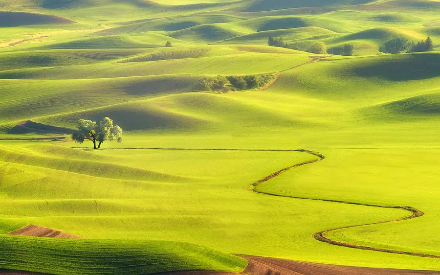 Green and energizing mountain in a high-quality view