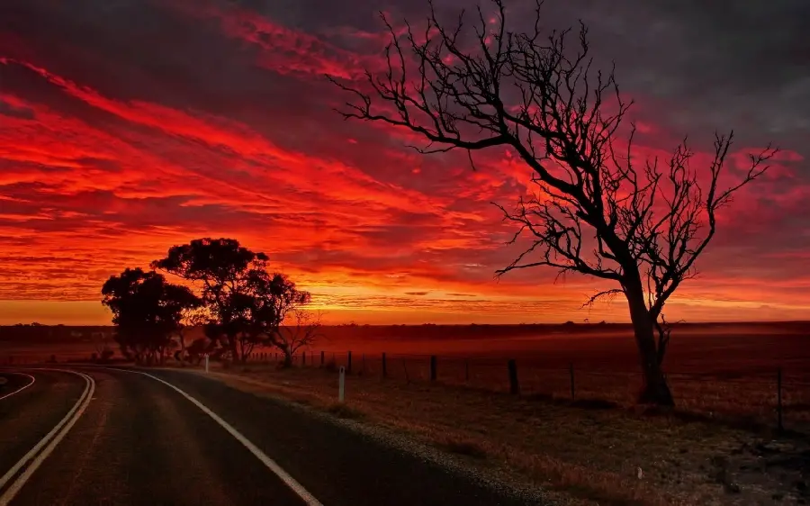 Download the road and colorful sunset wallpaper