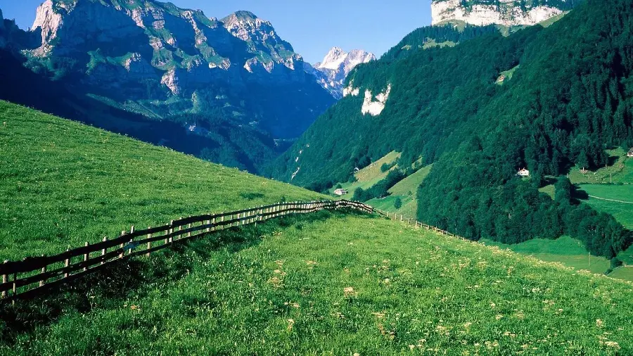 Download the latest photo of Swiss Nature