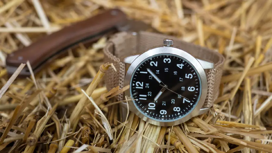 Interesting Photo of Luxury Men's Wristwatch on Straw