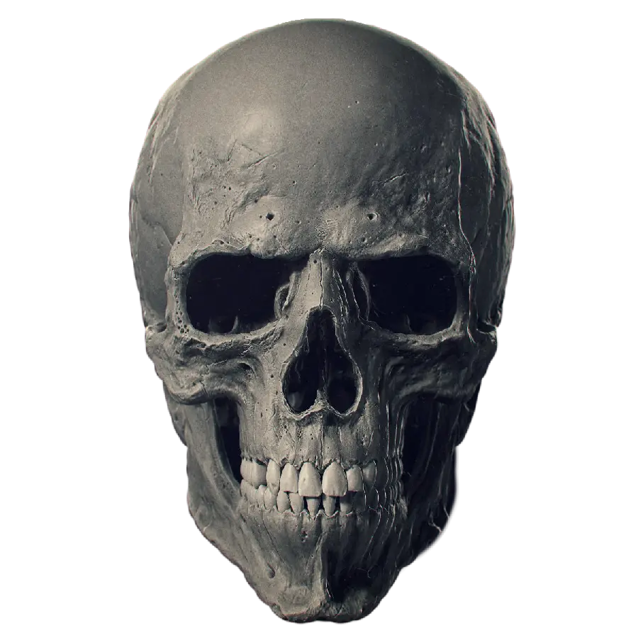 Real Skull Photo as Free PNG Cutout