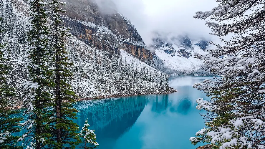 12K quality winter photo