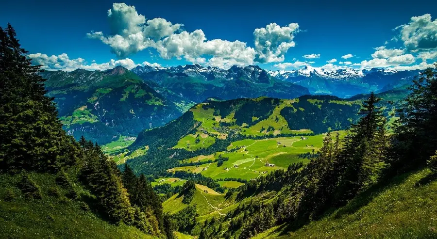 Photo of the lush nature of the Swiss Alps