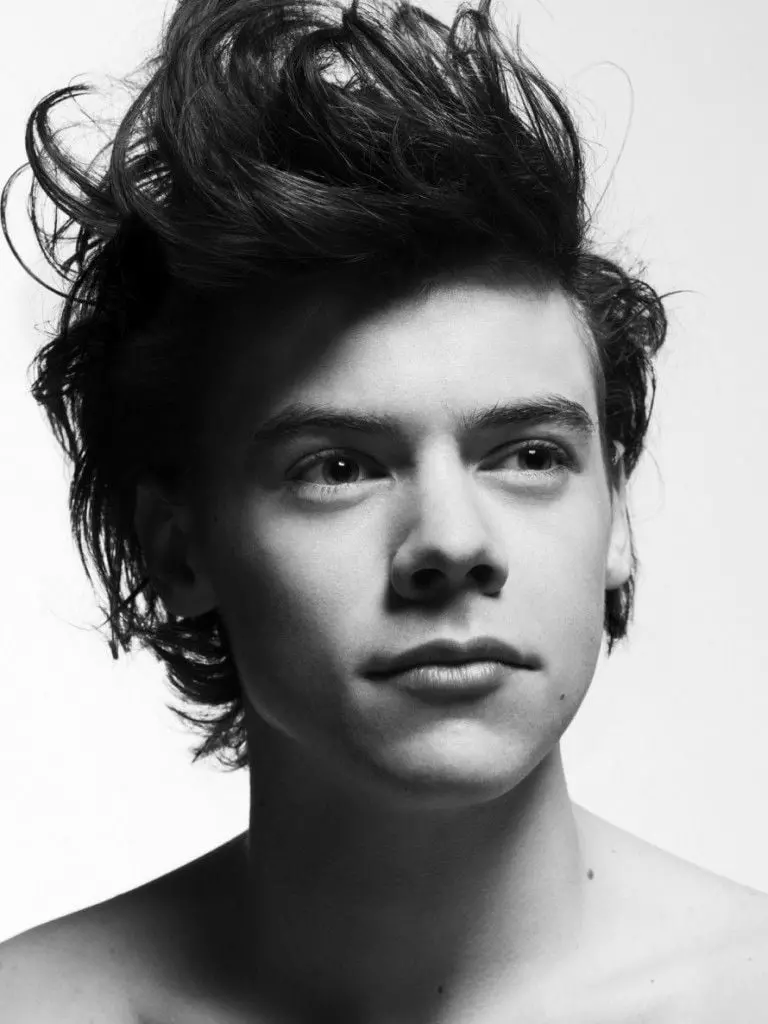 The most mysterious profile picture of the famous boy Harry Styles
