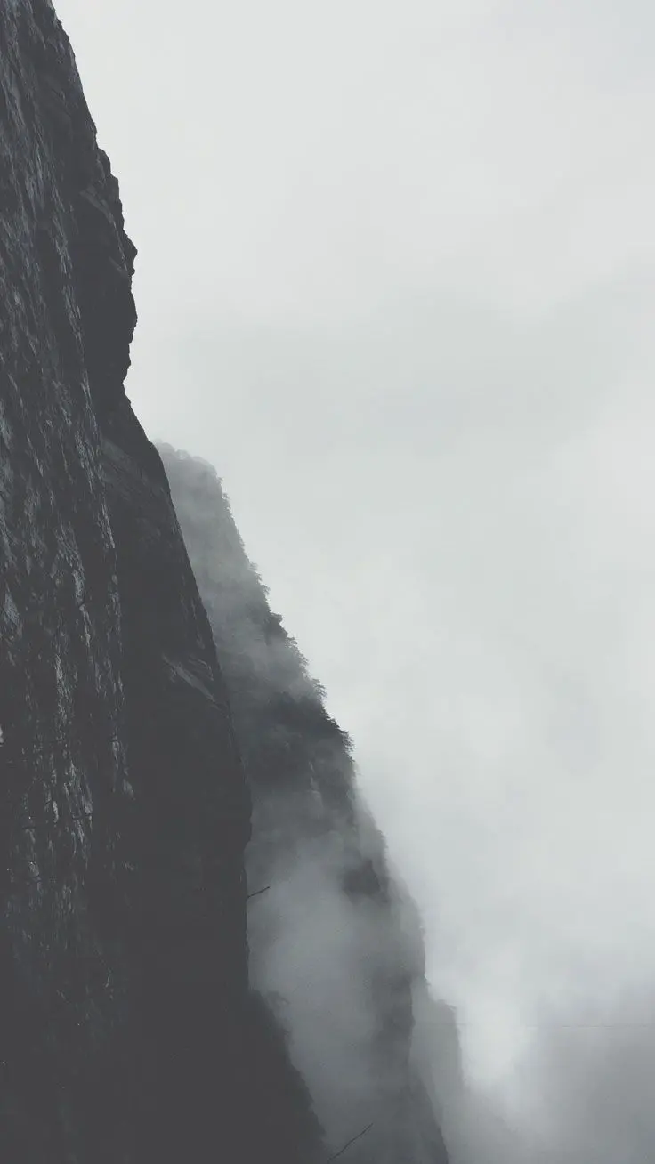 Download a pleasant black and white photo of nature for HD background