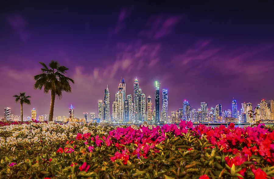 Beautiful wallpaper of beautiful flowers at night in Dubai for tablet