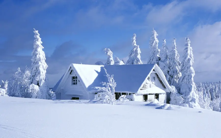 The most beautiful snowy nature background for Telegram profiles