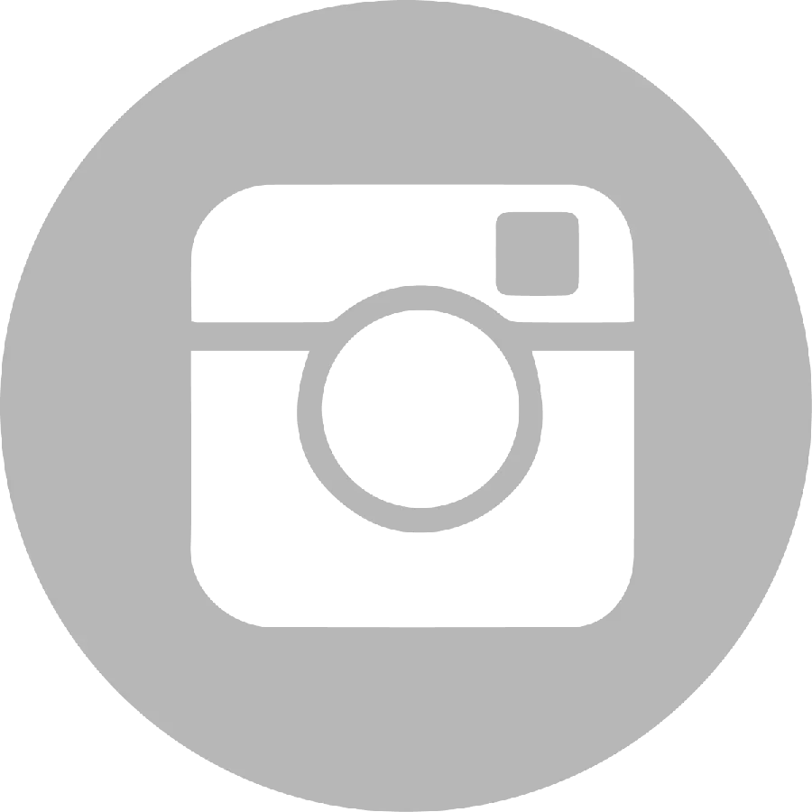 Download Instagram Logo Without Simple Gray Background