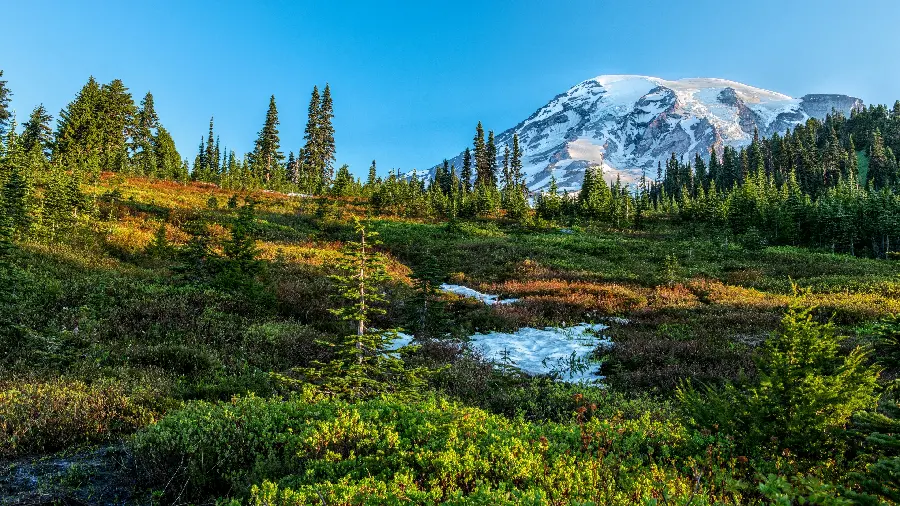 Ultra HD 3840 * 2160 Background Green Nature Good Weather