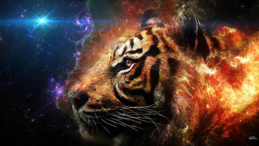 The most spectacular shining background of Windows 10 with the image of a tiger's silhouette