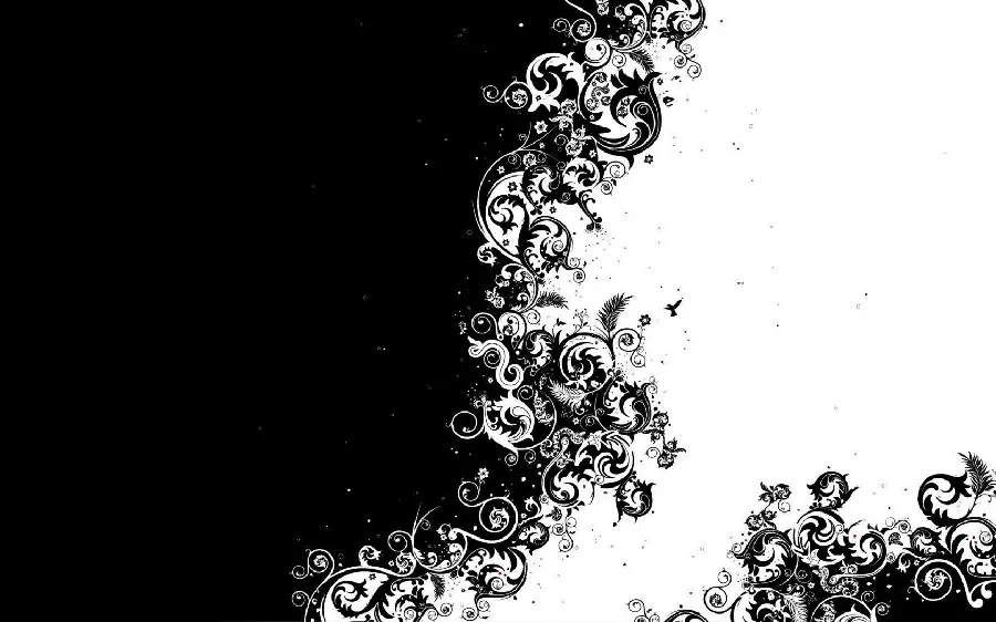 Attractive black and white photo FULL HD 