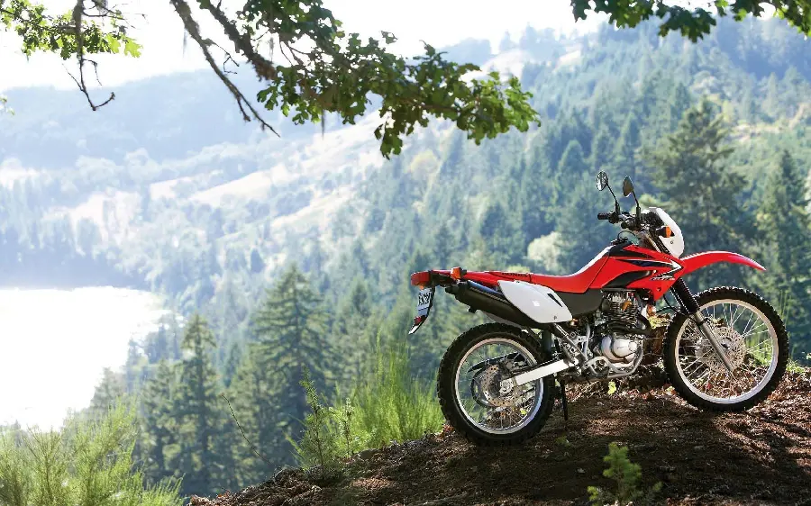 Wallpaper of a Motor Trail in Nature