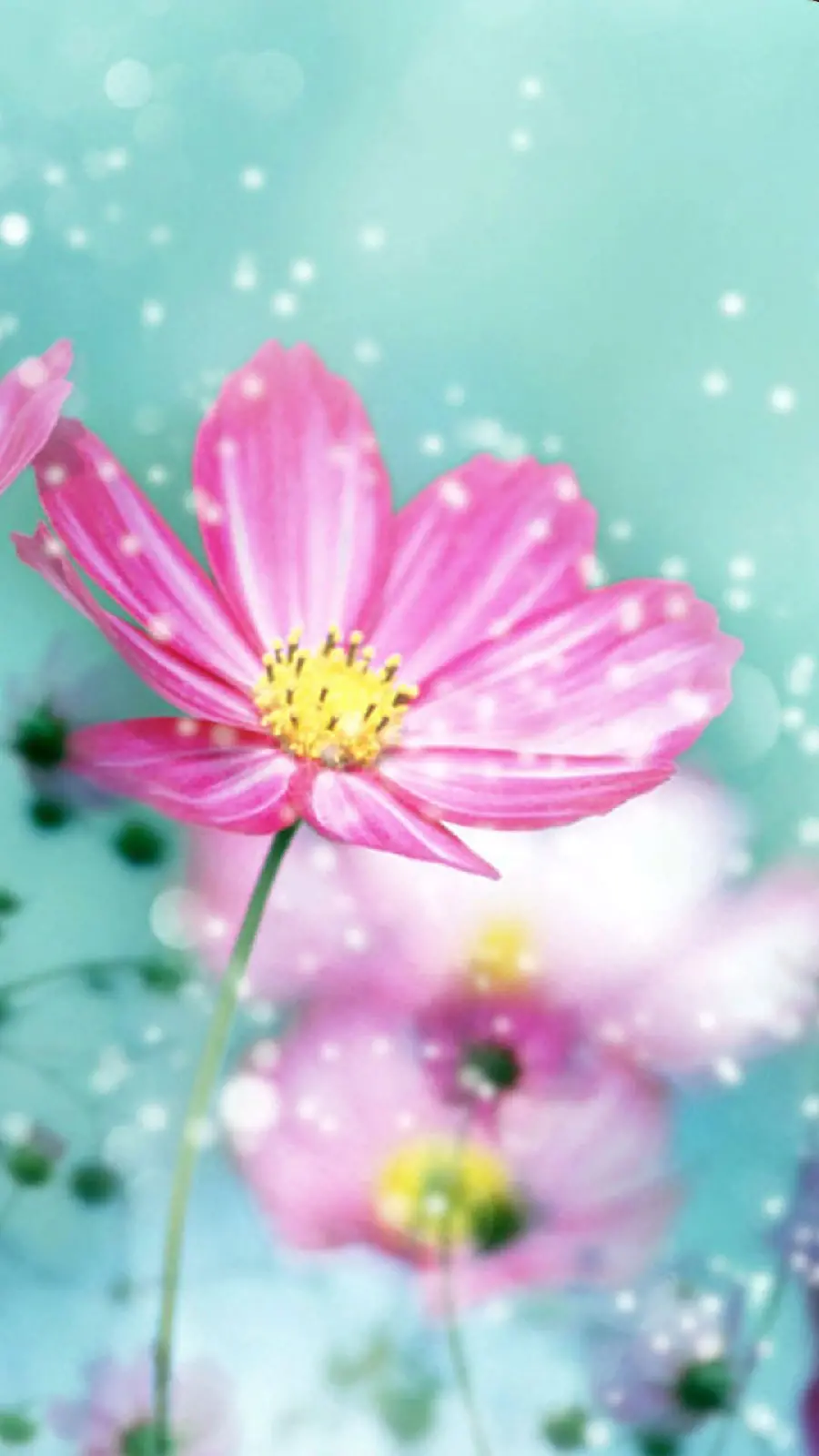 Girly Spring Wallpaper with Pink Flower HD Design