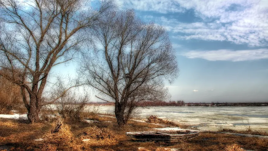 A mysterious and magical full hd image of nature for Windows background