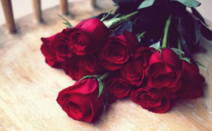 The Most Beautiful Laptop Background with a Red Rose Bouquet Design
