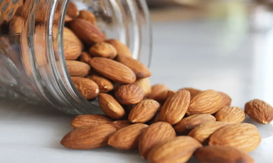 Fresh and Raw Almond Tree in a Luxury Glass Jar