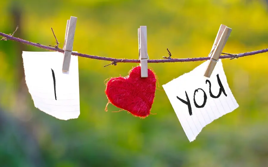 The most beautiful profile and romantic wallpaper of the sentence I Love You hanging for the computer