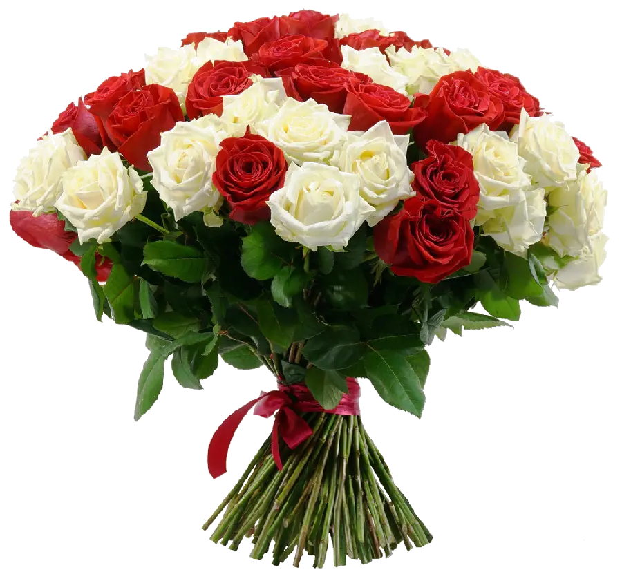 Photo of a bouquet of white and red roses for use in Inshot