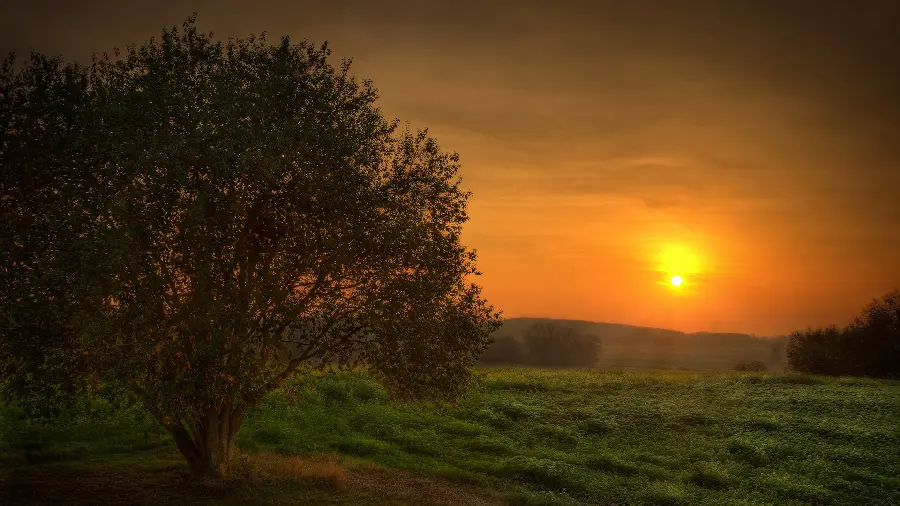 A spectacular sunset photo in nature in free jpg format