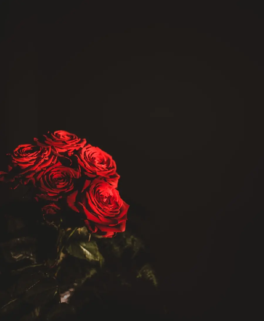 Red Rose Bouquet with Simple Background for Writing Text 2023