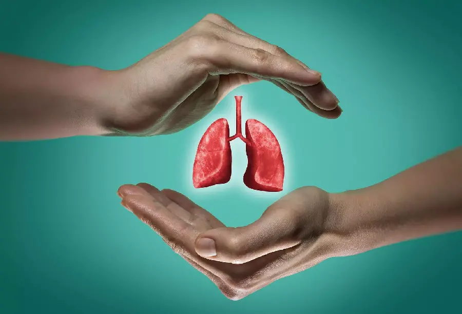 Human lung photo suitable for World Lung Day