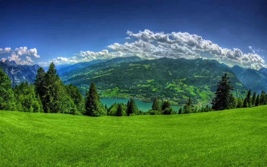 Beautiful Spring Nature Wallpaper