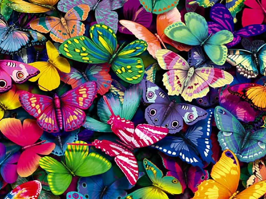 Photo of hundreds Colorful butterfly for background in high quality HD