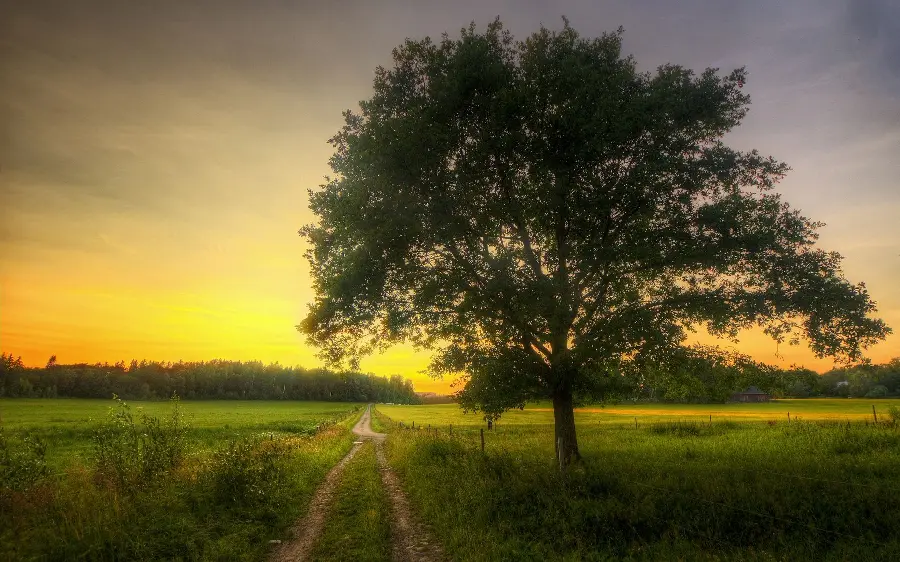 Real spring nature photo and spring background for writing text
