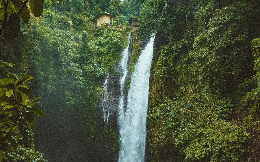 High quality photo of a tall and clear waterfall in a lush forest 1402