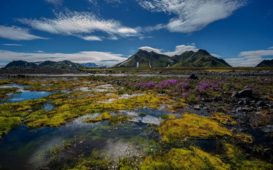 The most viewed nature photo of a pleasant pond for banner printing
