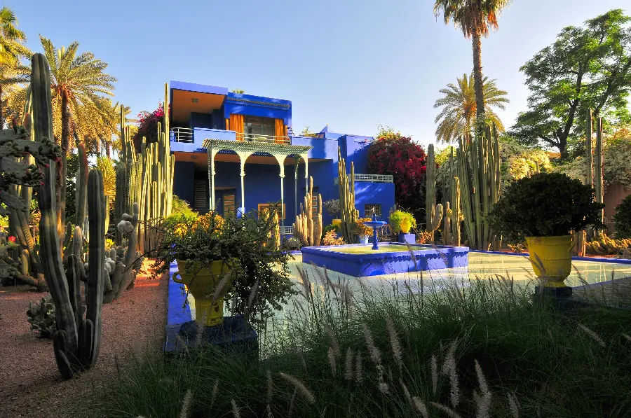 Photo of the Majorelle Garden of Morocco with exotic plants in 4K quality