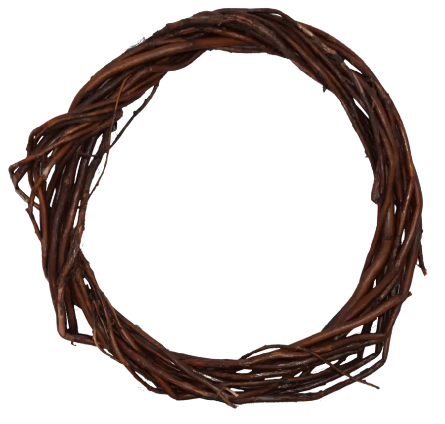 High quality photo of dried wood in the shape of a circle without a background