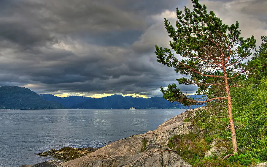 Beautiful and vast river background full hd for nature lovers