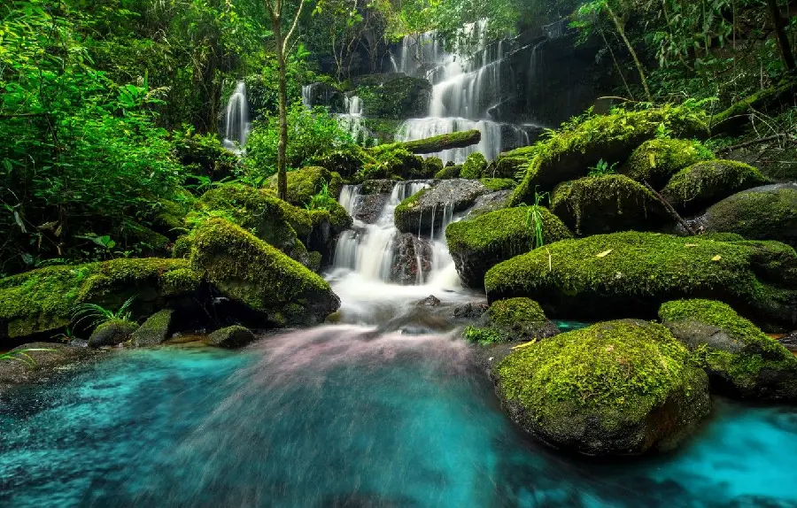 The best photo of a stone waterfall leading to a river in an energizing forest 